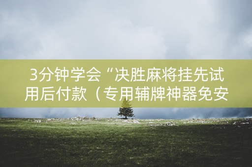3分钟学会“决胜麻将挂先试用后付款（专用辅牌神器免安装）