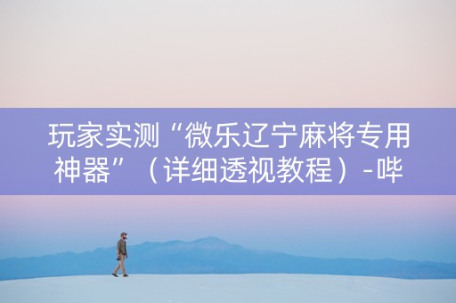 玩家实测“微乐辽宁麻将专用神器”（详细透视教程）-哔哩哔哩