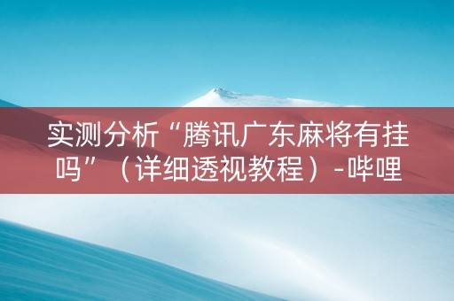 实测分析“腾讯广东麻将有挂吗”（详细透视教程）-哔哩哔哩