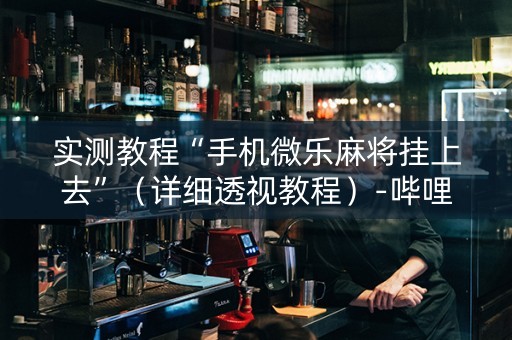 实测教程“手机微乐麻将挂上去”（详细透视教程）-哔哩哔哩