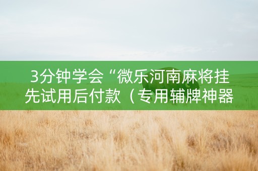 3分钟学会“微乐河南麻将挂先试用后付款（专用辅牌神器免安装）