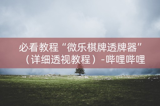 必看教程“微乐棋牌透牌器”（详细透视教程）-哔哩哔哩