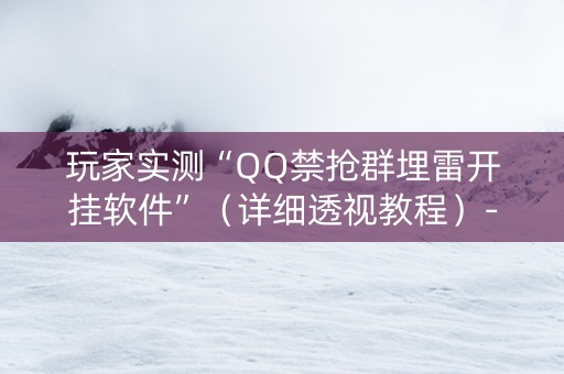 玩家实测“QQ禁抢群埋雷开挂软件”（详细透视教程）-哔哩哔哩