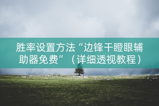 胜率设置方法“边锋干瞪眼辅助器免费”（详细透视教程）-哔哩哔哩