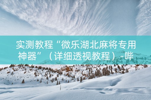 实测教程“微乐湖北麻将专用神器”（详细透视教程）-哔哩哔哩