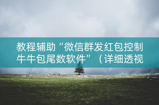 教程辅助“微信群发红包控制牛牛包尾数软件”（详细透视教程）-哔哩哔哩