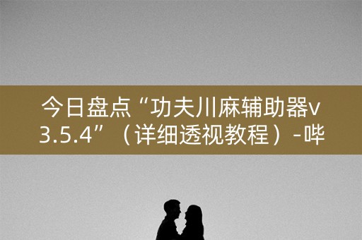 今日盘点“功夫川麻辅助器v3.5.4”（详细透视教程）-哔哩哔哩