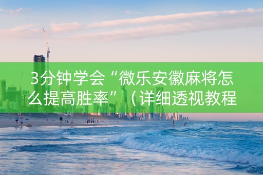 3分钟学会“微乐安徽麻将怎么提高胜率”（详细透视教程）-哔哩哔哩