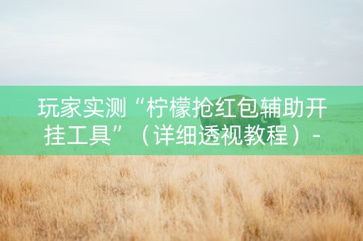 玩家实测“柠檬抢红包辅助开挂工具”（详细透视教程）-哔哩哔哩