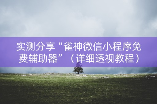 实测分享“雀神微信小程序免费辅助器”（详细透视教程）-哔哩哔哩