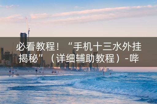 必看教程！“手机十三水外挂揭秘”（详细辅助教程）-哔哩哔哩