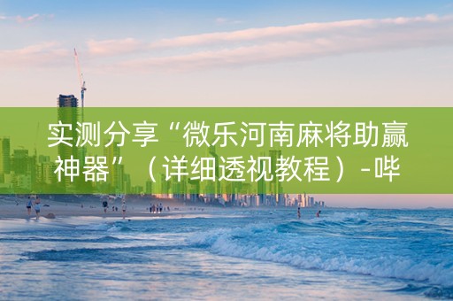 实测分享“微乐河南麻将助赢神器”（详细透视教程）-哔哩哔哩