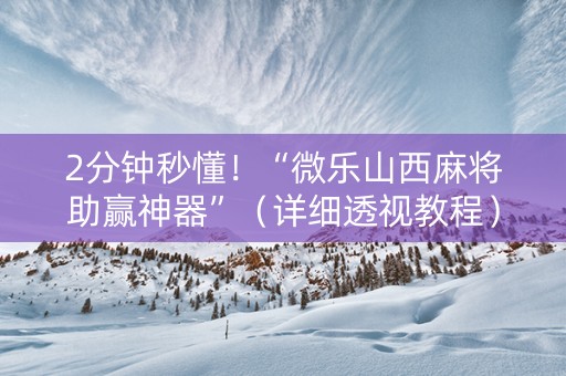 2分钟秒懂！“微乐山西麻将助赢神器”（详细透视教程）-哔哩哔哩