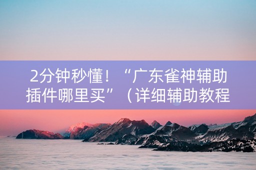 2分钟秒懂！“广东雀神辅助插件哪里买”（详细辅助教程）-哔哩哔哩