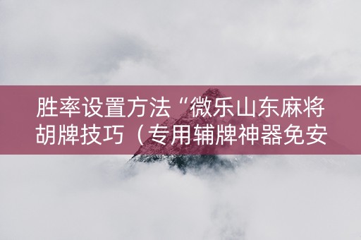 胜率设置方法“微乐山东麻将胡牌技巧（专用辅牌神器免安装）