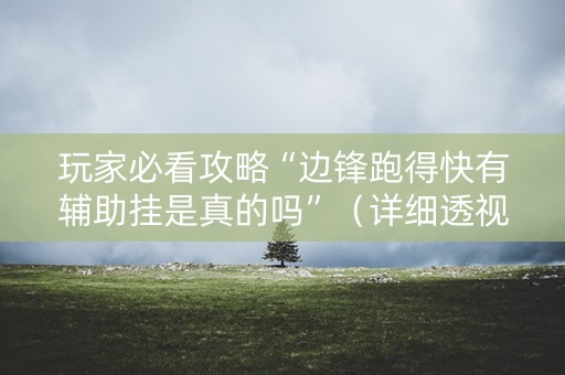 玩家必看攻略“边锋跑得快有辅助挂是真的吗”（详细透视教程）-哔哩哔哩