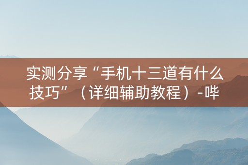 实测分享“手机十三道有什么技巧”（详细辅助教程）-哔哩哔哩