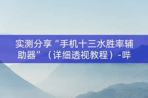 实测分享“手机十三水胜率辅助器”（详细透视教程）-哔哩哔哩