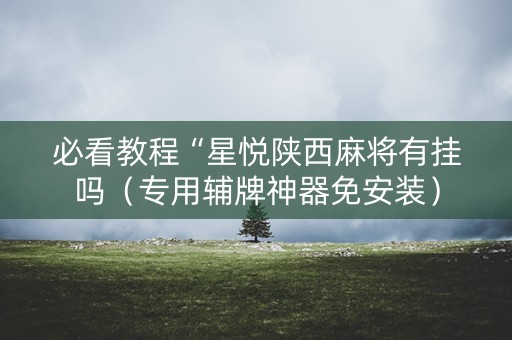 必看教程“星悦陕西麻将有挂吗（专用辅牌神器免安装）