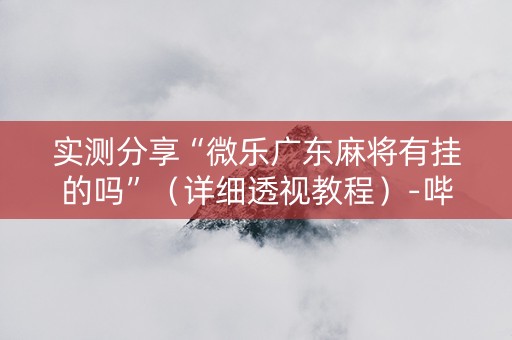 实测分享“微乐广东麻将有挂的吗”（详细透视教程）-哔哩哔哩