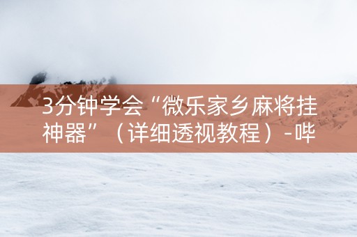 3分钟学会“微乐家乡麻将挂神器”（详细透视教程）-哔哩哔哩