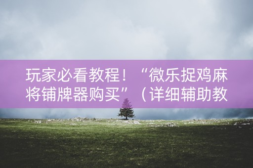 玩家必看教程！“微乐捉鸡麻将铺牌器购买”（详细辅助教程）-哔哩哔哩
