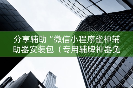 分享辅助“微信小程序雀神辅助器安装包（专用辅牌神器免安装）