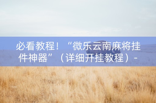 必看教程！“微乐云南麻将挂件神器”（详细开挂教程）-哔哩哔哩