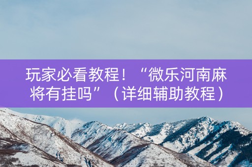 玩家必看教程！“微乐河南麻将有挂吗”（详细辅助教程）-哔哩哔哩