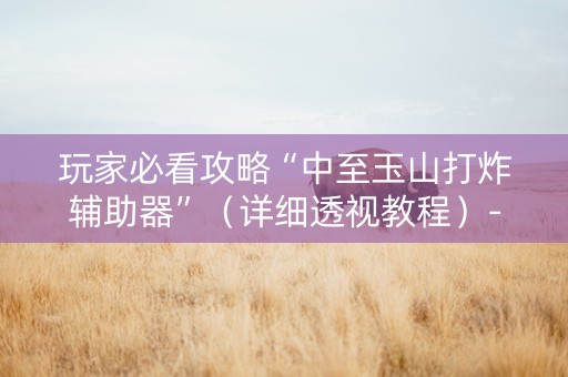 玩家必看攻略“中至玉山打炸辅助器”（详细透视教程）-哔哩哔哩