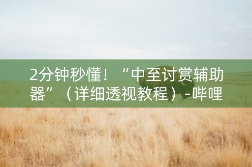 2分钟秒懂！“中至讨赏辅助器”（详细透视教程）-哔哩哔哩