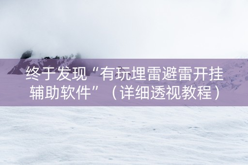 终于发现“有玩埋雷避雷开挂辅助软件”（详细透视教程）-哔哩哔哩