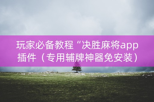 玩家必备教程“决胜麻将app插件（专用辅牌神器免安装）