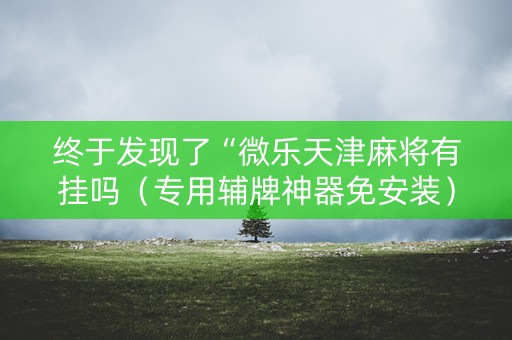 终于发现了“微乐天津麻将有挂吗（专用辅牌神器免安装）