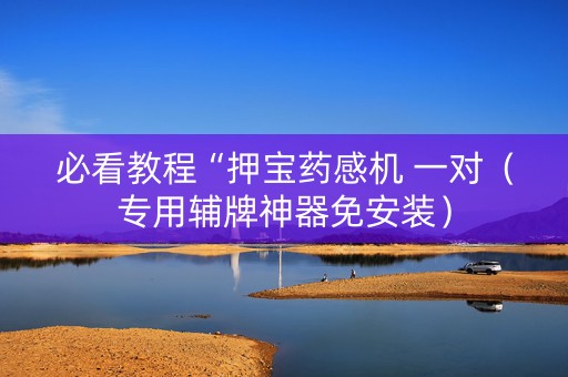必看教程“押宝药感机 一对（专用辅牌神器免安装）