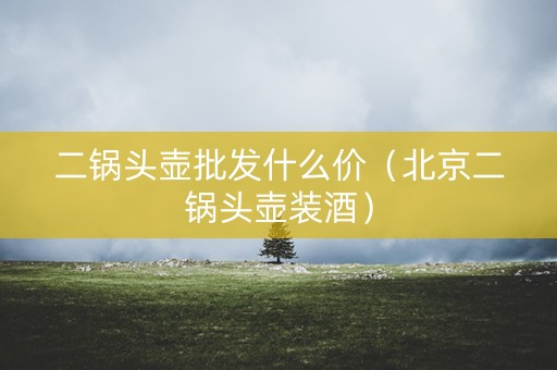 二锅头壶批发什么价（北京二锅头壶装酒）