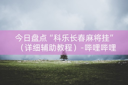 今日盘点“科乐长春麻将挂”（详细辅助教程）-哔哩哔哩