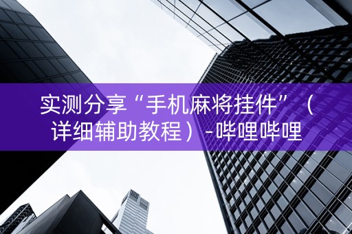 实测分享“手机麻将挂件”（详细辅助教程）-哔哩哔哩