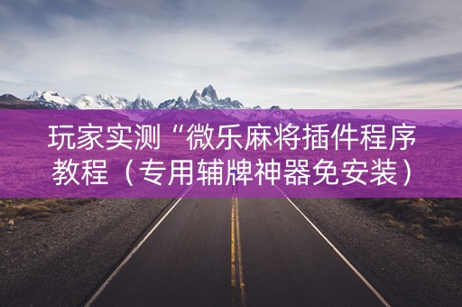 玩家实测“微乐麻将插件程序教程（专用辅牌神器免安装）