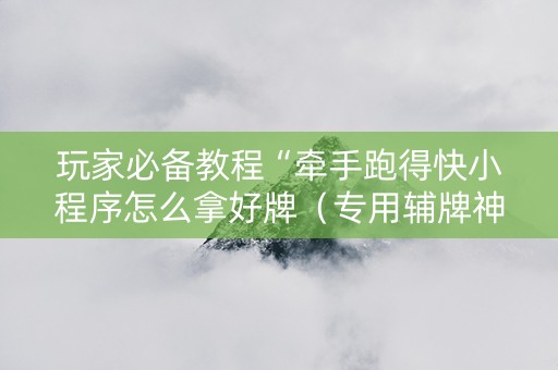 玩家必备教程“牵手跑得快小程序怎么拿好牌（专用辅牌神器免安装）