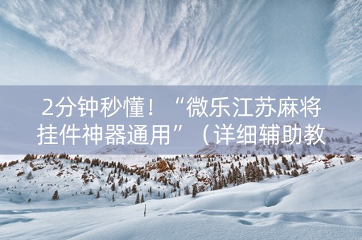 2分钟秒懂！“微乐江苏麻将挂件神器通用”（详细辅助教程）-哔哩哔哩