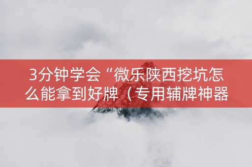 3分钟学会“微乐陕西挖坑怎么能拿到好牌（专用辅牌神器免安装）