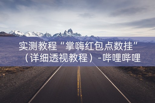 实测教程“掌嗨红包点数挂”（详细透视教程）-哔哩哔哩