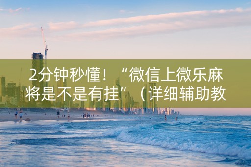 2分钟秒懂！“微信上微乐麻将是不是有挂”（详细辅助教程）-哔哩哔哩