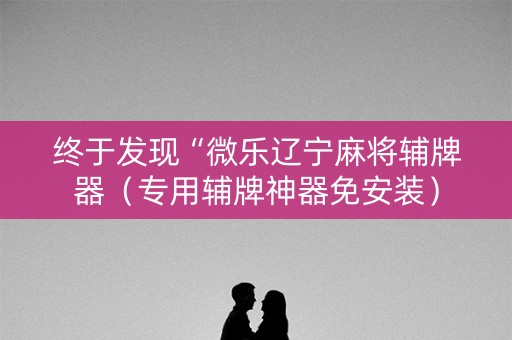 终于发现“微乐辽宁麻将辅牌器（专用辅牌神器免安装）