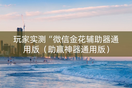 玩家实测“微信金花辅助器通用版（助赢神器通用版）