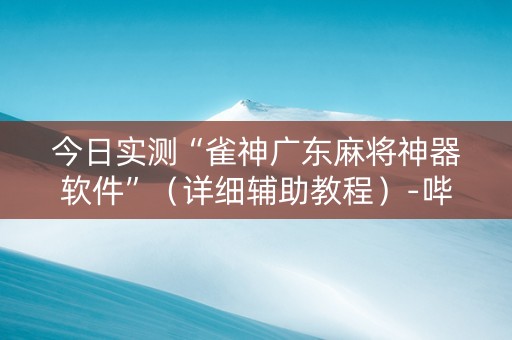 今日实测“雀神广东麻将神器软件”（详细辅助教程）-哔哩哔哩
