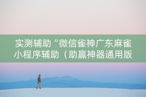 实测辅助“微信雀神广东麻雀小程序辅助（助赢神器通用版）