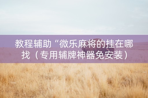 教程辅助“微乐麻将的挂在哪找（专用辅牌神器免安装）