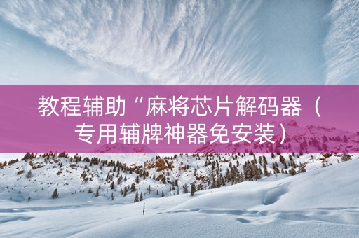 教程辅助“麻将芯片解码器（专用辅牌神器免安装）